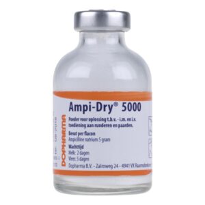 Buy Ampi-Dry 5000 Online