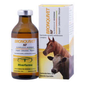 Buy Bronquivet Online