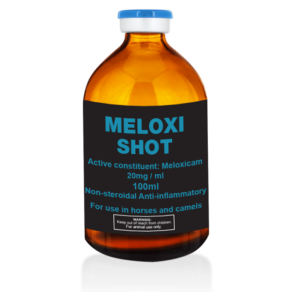 Buy Meloxi Shot Online