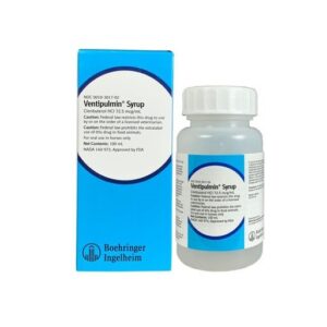 Buy Ventipulmin Syrup 100ml Online