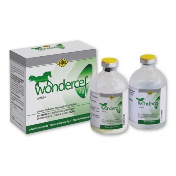 Buy Wondercef Online