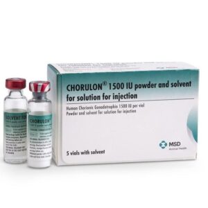 Buy Chorulon 5000 iu 5ml Online